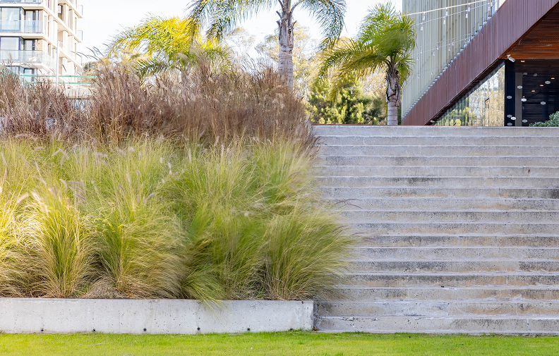 Hampton by Hilton jardines y escaleras