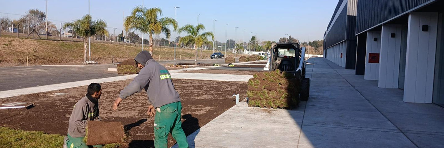 Preparación de terreno