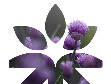 Imagen de flores decorativas