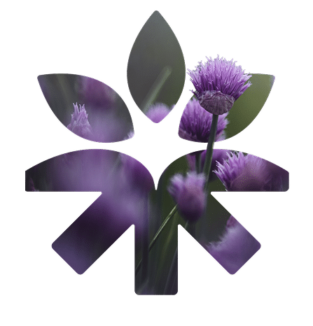 Imagen de flores decorativas